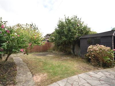 Picture 17